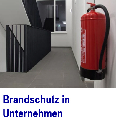 Brandschutz in Unternehmen und in Arbeitssttten. Effiziente Manahmen